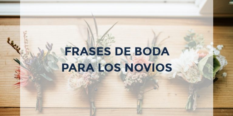 Frases para Bodas Descubre Las Mejores - Dream Novias ®【2024】
