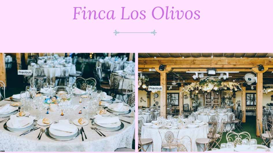 finca los olivos